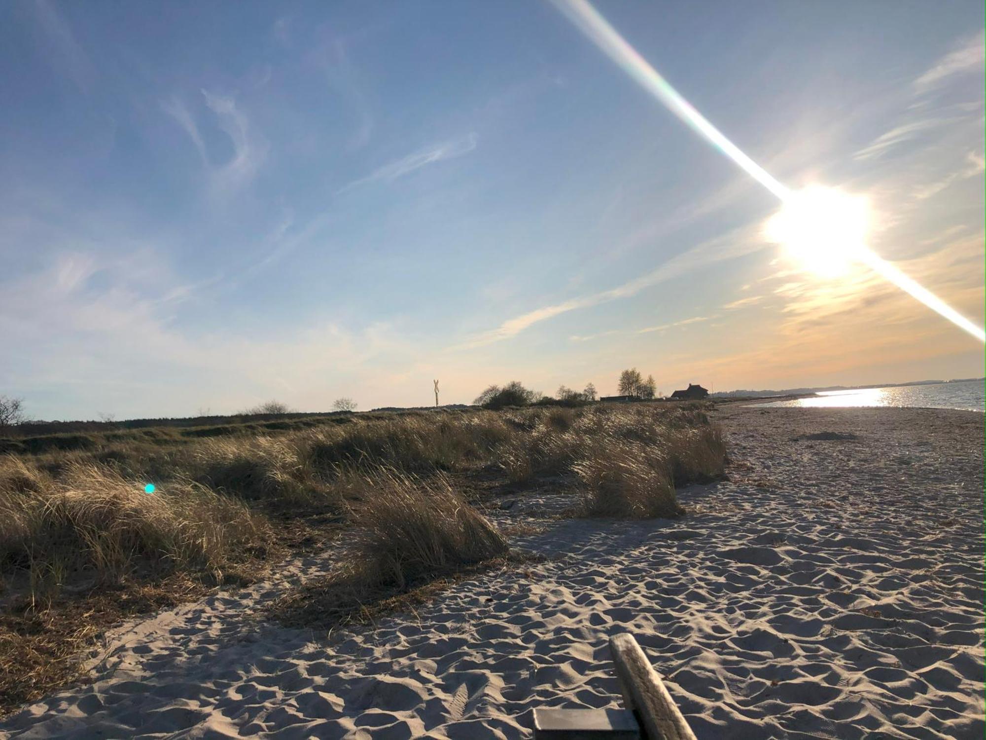 Neue Ferienwohnung An Der Ostsee,Terrasse,Sauna Surendorf Exterior foto